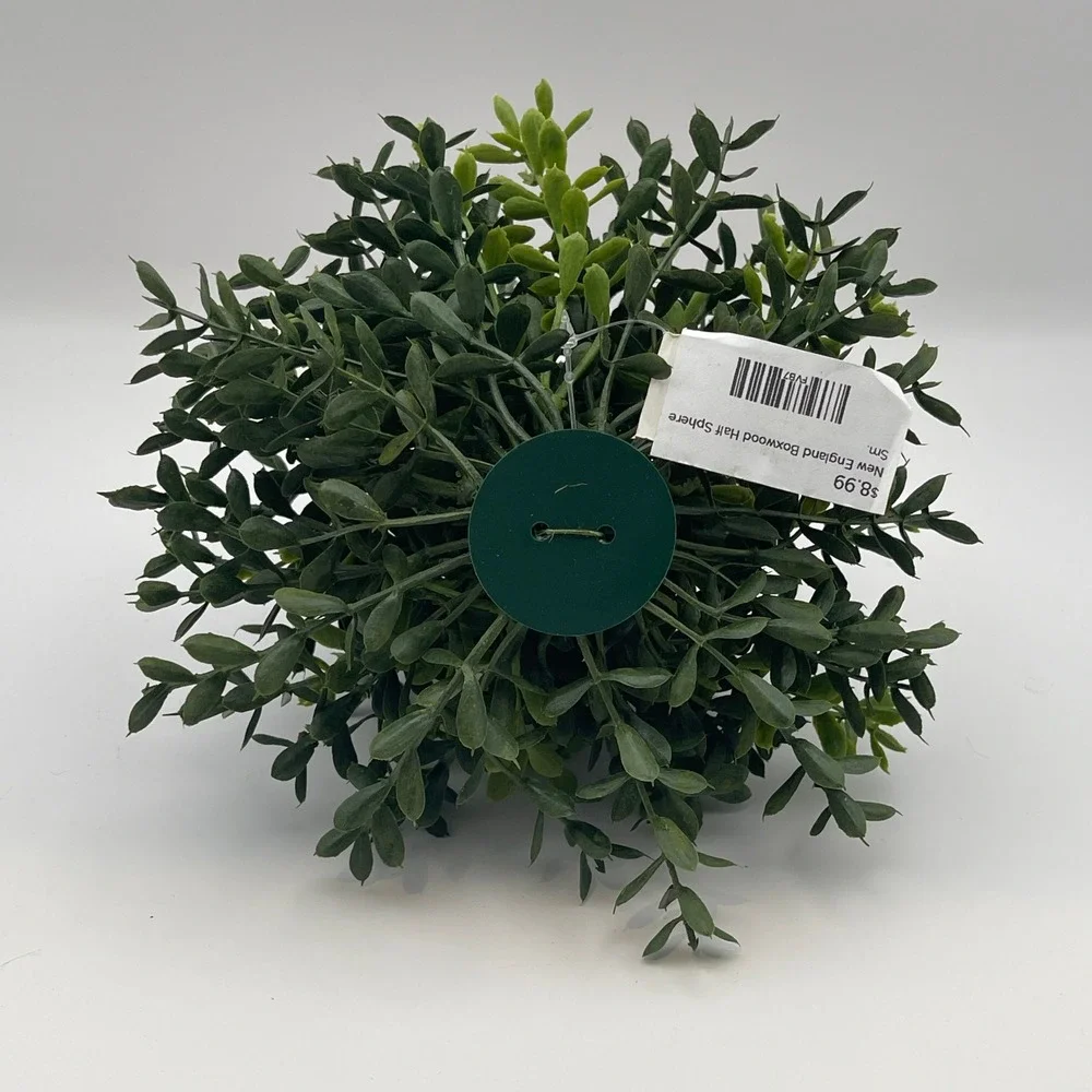 New England Boxwood Half Sphere Small Artificial Greenery Faux Topiary Plant 6in